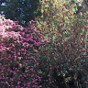 Meet your Posher, Jel